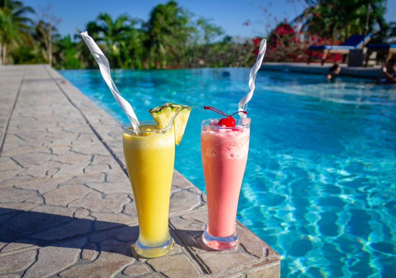 Cassia Hill Resort San Ignacio Zewnętrze zdjęcie